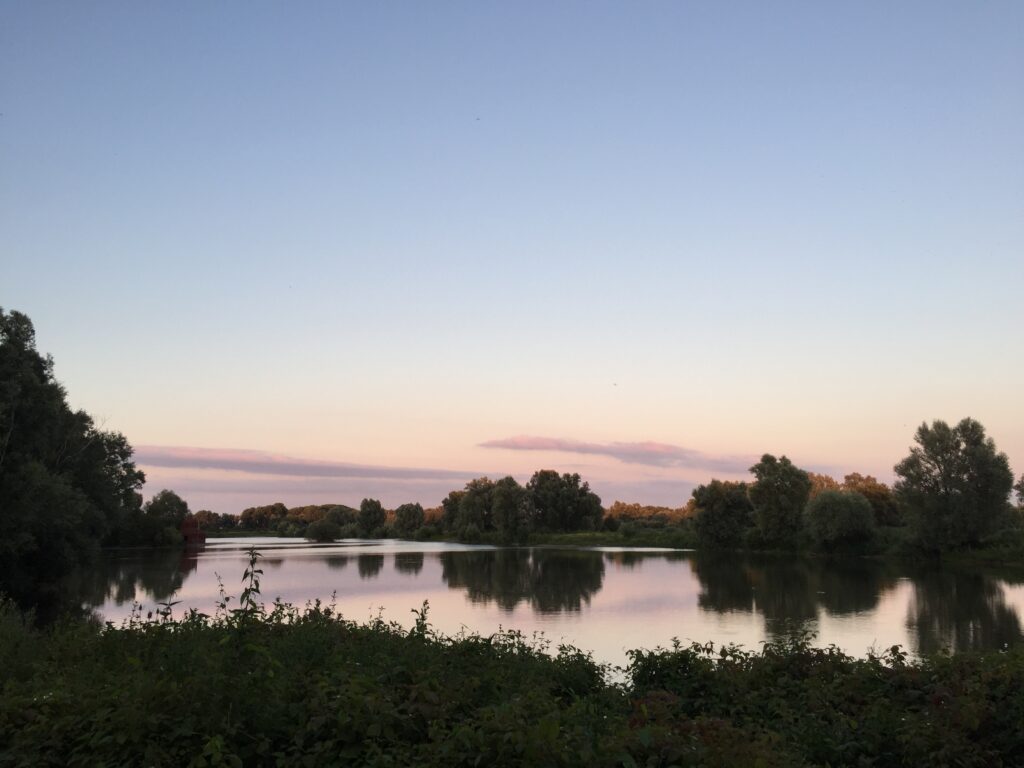 A lake with reflections surrounded by trees in a pink sunset