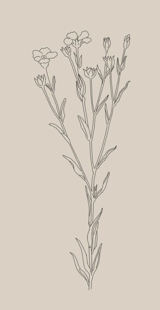 fabrics and care guide